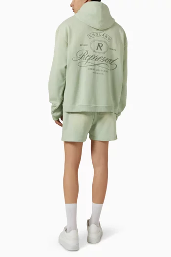 Grand Vintage Hoodie in Cotton