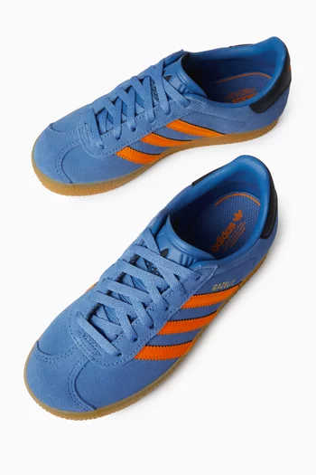 Gazelle Sneakers in Suede