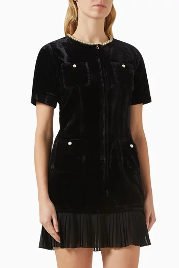 Isadora Mini Dress in Velvet