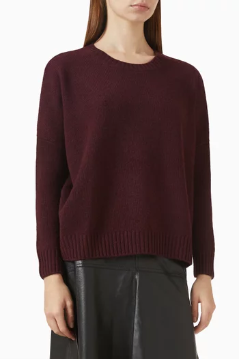 Romelie Sweater in Cashmere-knit
