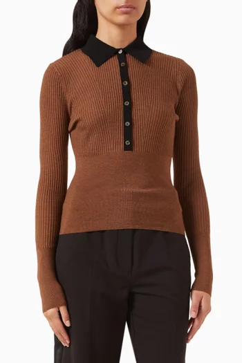 Cillian Rib Polo Sweater in Merino Wool