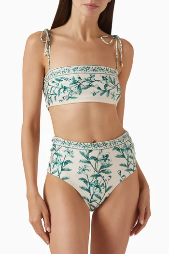 Magenta Ceiba Bikini Briefs