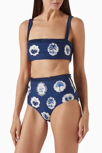 Nopal Wild Bikini Briefs