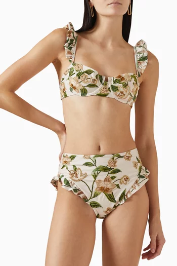 Jengibre Orquidea Bikini Briefs