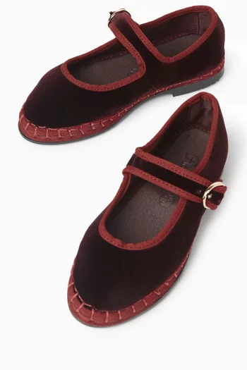 Boris Mary Jane Shoes in Velvet
