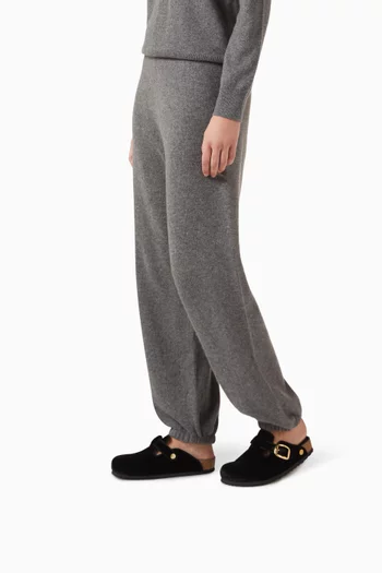 Boston Big Buckle Clogs in Velvet