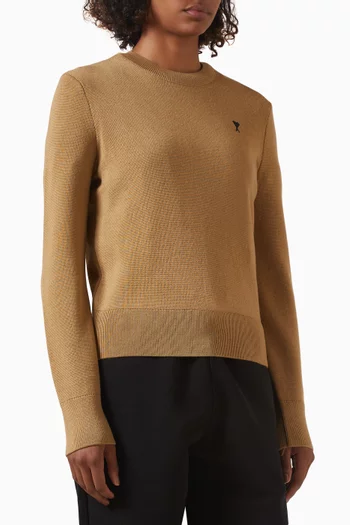 Ami De Coeur Crewneck Sweater in Wool