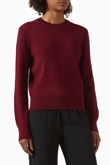Ami De Coeur Crewneck Sweater in Wool