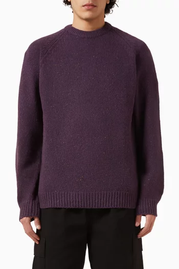 Angilistic Sweater in Knit