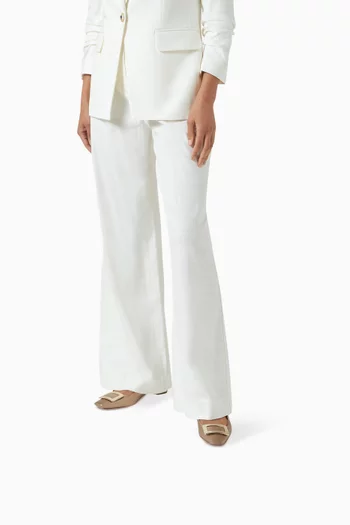 Belle Vivier 25 Ballerinas in Leather