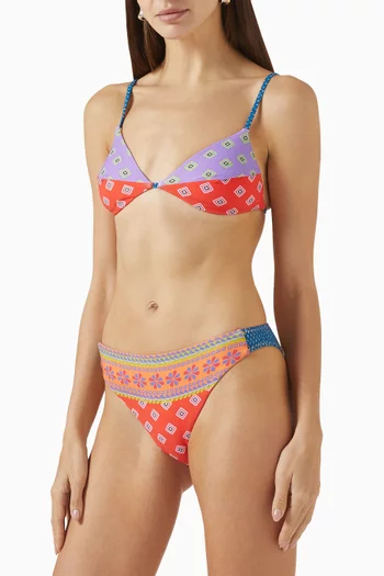 Rani Dalian Bikini Briefs