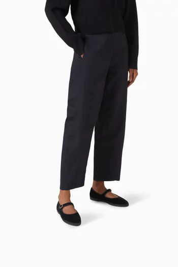 Antonia Ballet Flats in Velvet