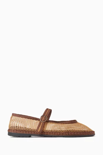 Isabella Ballet Flats in Mesh