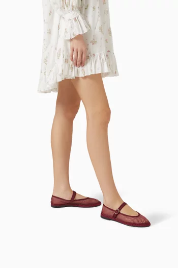 Isabella Ballet Flats in Mesh