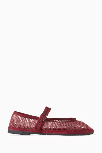 Isabella Ballet Flats in Mesh