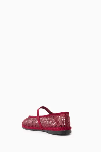 Isabella Ballet Flats in Mesh