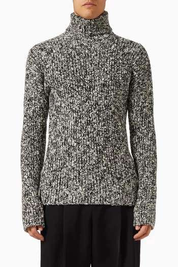 Turtleneck Sweater in Knit