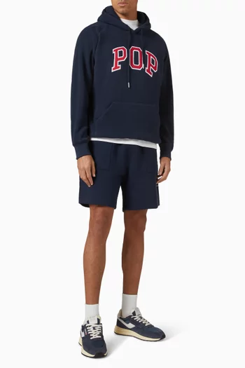 Arch Hoodie in Polar Fleece