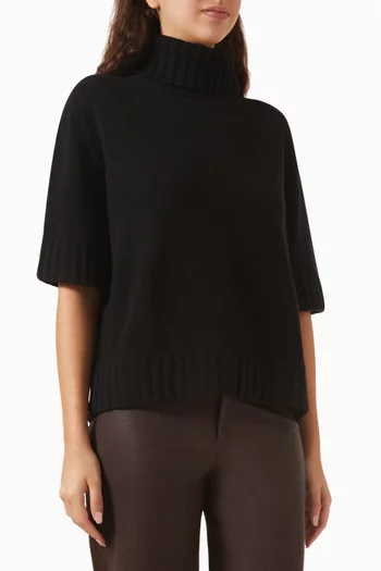 Giorgia Turtleneck Sweater in Cashmere