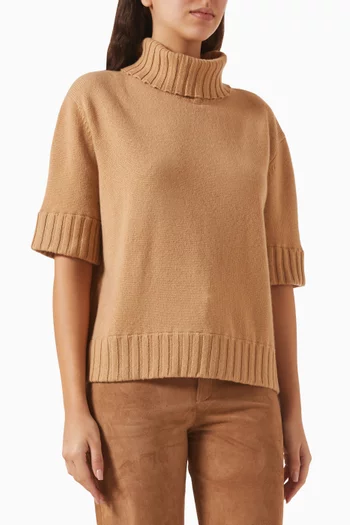 Giorgia Turtleneck Sweater in Cashmere