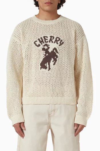 Western Sweater in Crochet Knit
