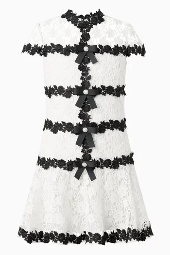 Aveline Embroidered Mini Dress in Floral-lace