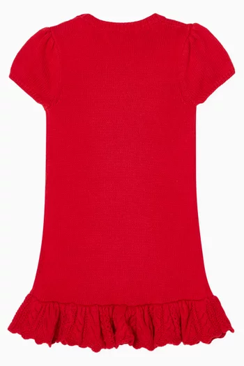 Polo Bear Sweater Dress