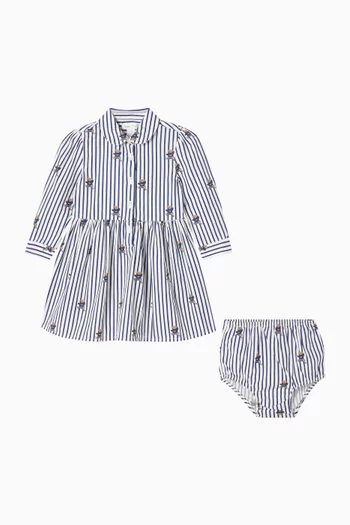 Polo Bear Shirt Dress in Cotton