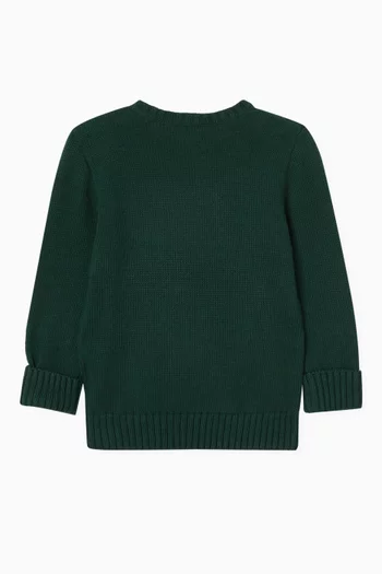 Polo Bear Sweater in Cotton-knit