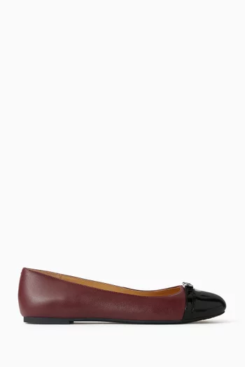 Mandy Ballet Flats in Leather