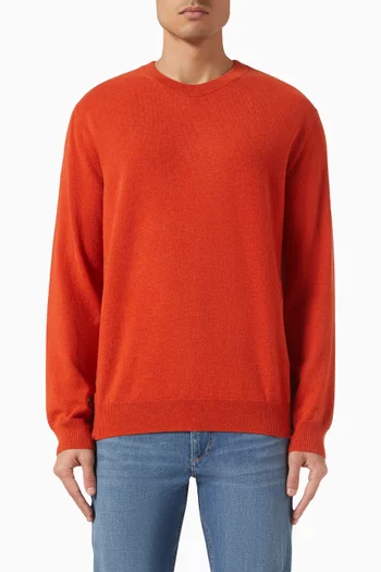 Crew Neck Sweater in Cashmere