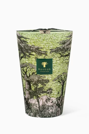 Sacred Trees Touba Scented Candle Max 35