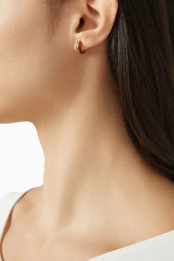 Mini Locus Solus Tiger Eye Earrings in 18kt Gold Vermeil