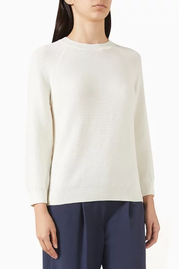 Crewneck Sweater in Knit