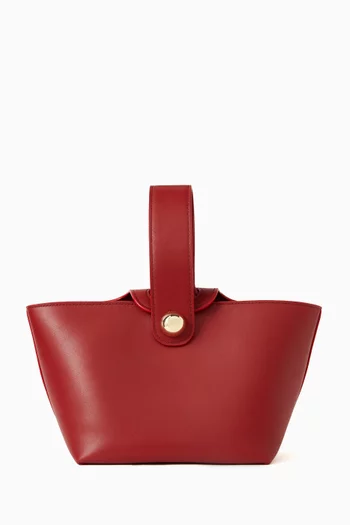 Odessa Top-handle Bag in Leather