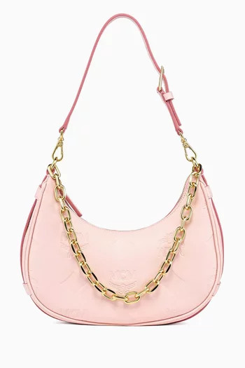 Aren Hobo Bag in Visetos Monogram