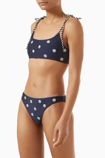 Ilu Sereia Bikini Briefs
