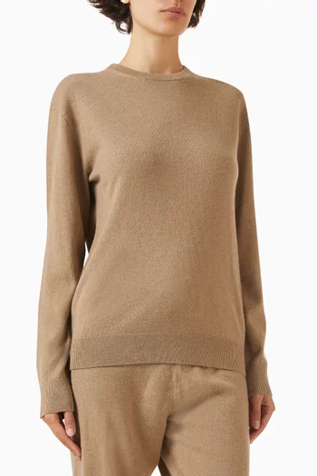 Simplicity Crewneck Sweater in Wool-cashmere