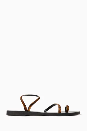 صندل اليفثيريا شعر مهر