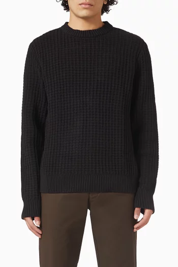 Crewneck Sweater in Knit