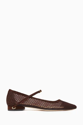 Lorenzo Ballerina Flats in Mesh