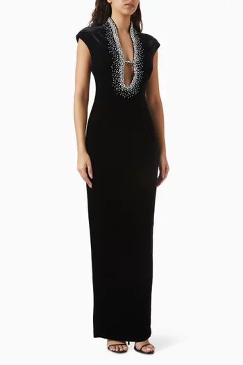 Lenora Gown in Velvet