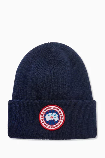Arctic Program Beanie in Wool