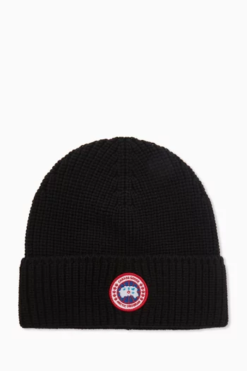 Arctic Program Ribbed Beanie in Wool