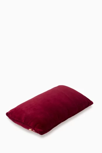 Embroidered Cushion in Velvet