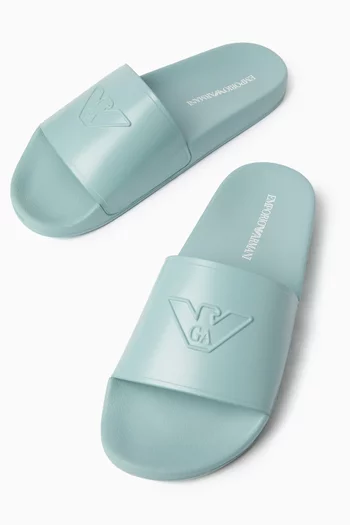 Eagle Logo Slides