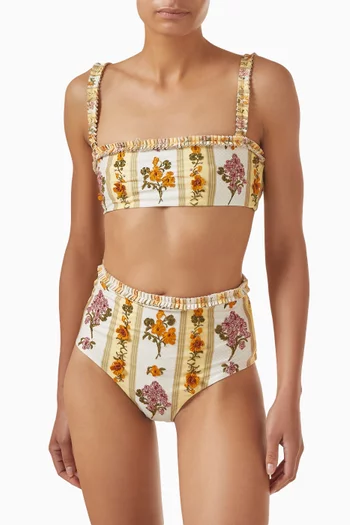 Nopal Cordillera Bikini Briefs