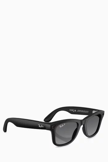 Meta Wayfarer Sunglasses in Acetate
