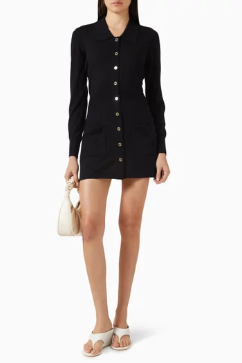 Knit Polo Dress in Merino Wool