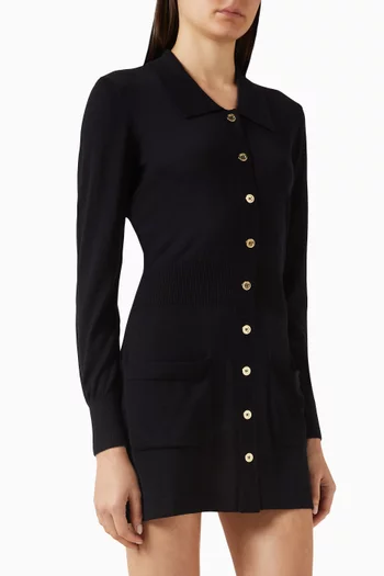 Knit Polo Dress in Merino Wool